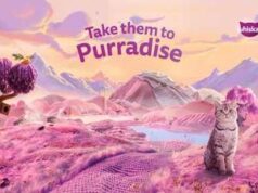 Animali, Whiskas: un test per scoprire la personalità del proprio gatto