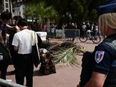 Cannes, palma travolge spettatore del festival sulla Croisette: è grave