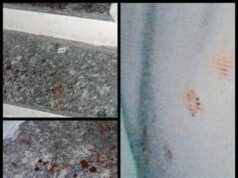 Caso Garlasco, atti: “Assassino non scende le scale e ha le mani insanguinate”