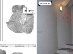 Caso Garlasco, genetista Capra frena: “Con metodo pm si riapre tutto, anche delitto di Yara”