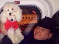 Ddl animali è legge: da Gandhi a Dudù, le citazioni in Senato