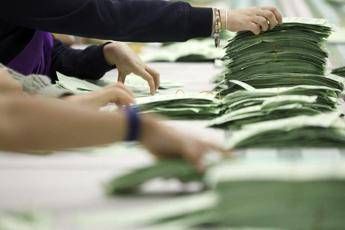 Elezioni in Australia, media: hanno vinto i Laburisti