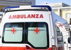 Lucca, 81enne muore folgorato mentre lavora nel suo terreno
