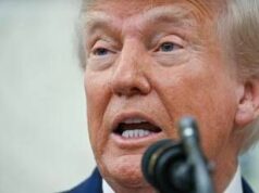 Trump, i dazi e Taco: perché la parola fa arrabbiare il presidente