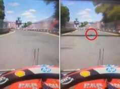 Gp Montreal, Hamilton investe una marmotta. Poi i problemi ai freni – Il video