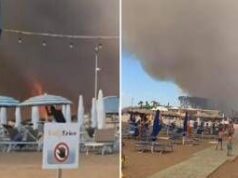 Incendio in pineta, fiamme lambiscono le spiagge di Baia Domizia: bagnanti in fuga – Video