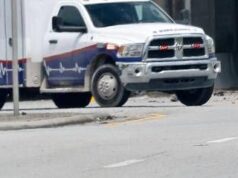 Usa, 17 casi di listeria con 3 morti. Nel mirino fettuccine Alfredo pronte