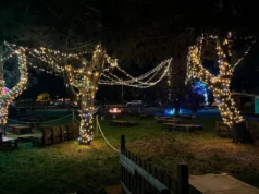 R.Estate al Parco 2025: 54 giorni di musica e relax a Grugliasco restate al parco porporati grugliasco