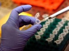 Cancro alla prostata, Dna potrebbe svelare rischio basso o alto: lo studio