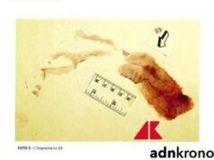 Caso Garlasco, consulenza Poggi: “Impronta 33 inutilizzabile, non è nitida”