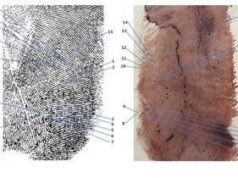 Caso Garlasco, scontro sulle perizie. Garofano: “Consulenza Procura su impronta 33 è errata”