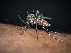 Sos Dengue e Chikungunya, aumentano i casi autoctoni: la mappa del rischio in Italia