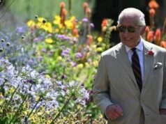 Undici giardinieri su 12 hanno lasciato Highgrove House: “Re Carlo dispotico”