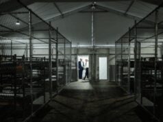 Usa, visita consolare ai due italiani ad ‘Alligator Alcatraz’: chiesto il trasferimento