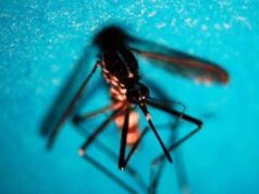 West Nile, confermata ottava vittima in provincia di Caserta