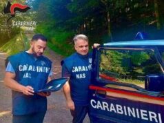 Botulino, Nas: “Conserve vegetali più a rischio, quando le aprite attenti al clic clac”