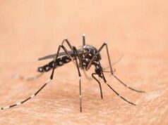 Cina, è allarme Chikungunya: oltre 7.700 casi