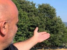 Ferragosto, Grillo (Turismo Verde-Cia): “Tra natura, relax e buon cibo sold out agriturismi”