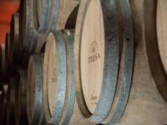 Vino: con Santa Tresa torna in etichetta il vitigno siciliano ‘scomparso’ Orisi