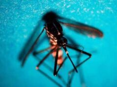 West Nile, prima vittima in Veneto: morta donna di 81 anni