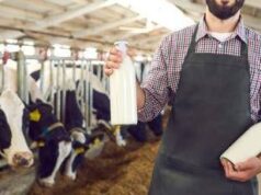 Agricoltura, Ismea: filiera lattiero casearia cresce e si rafforza sui mercati esteri