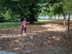 Arriva l’autunno, cos’è l’equinozio e quando cade