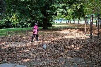 Arriva l’autunno, cos’è l’equinozio e quando cade