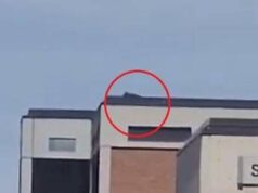 Charlie Kirk ucciso, ipotesi cecchino sul tetto: il video