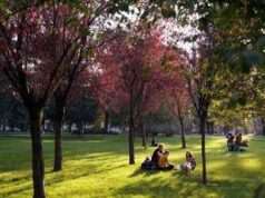 Equinozio di autunno 2025, quando inizia la nuova stagione