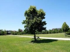 Estate piena nel weekend poi arriva l’autunno con forti temporali