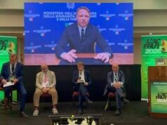 Fiere, Macfrut 2026 si svela: più internazionale e innovativa e con 2 padiglioni aggiuntivi