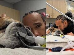 Hamilton, il cane Roscoe è malato: “Ha la polmonite, ora è in coma”