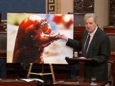 “I gamberi ti fanno diventare Alien”, l’allarme del senatore Kennedy