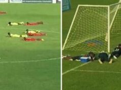 Invasione di api in campo, calciatori si fingono morti