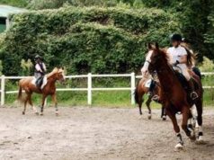 Milano, abusi su allieve minorenni: arrestato istruttore di equitazione
