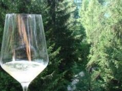 Nel turismo enogastronomico sempre più richiesto il product manager