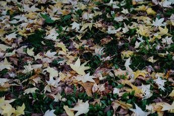 Oggi inizia la nuova stagione, cos’è e quando cade l’equinozio di autunno