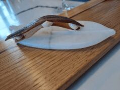 Turismo, tra chef stellati e pinchos la spagnola Santander è meta per foodies