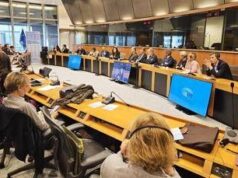 Ue, Confagricoltura-Federlegnoarredo su deforestazione: semplificare nuovi obblighi