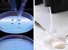 I robot ‘fanno nascere’ i bambini, la start-up e la rivoluzione in Messico