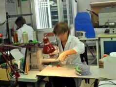 Lavoro, Inapp: “Differenze percepite da 58% donne e 43,6% uomini”