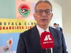 Made in Italy, Arcadia: “Il gusto della mozzarella di bufala Campana Dop conquista web, 37 milioni utenti in 2 anni”