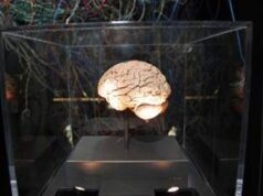 Medicina, neurologi: “L’innovazione può cambiare la storia di molte malattie ma serve equità”