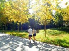 Ottobrata alla massima potenza, nel weekend fino a 27°C da Nord a Sud