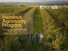 Sostenibilità , al via l’Hazelnut Agronomy Program: scuola tecnica dedicata al nocciolo