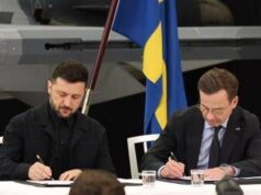 Ucraina e Gripen, i ‘Grifoni’ supersonici che la Svezia darà a Kiev