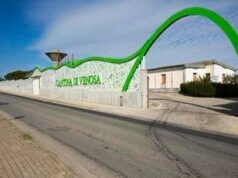 Vino, Cantina di Venosa investe 3,4 mln di euro per l’ampliamento e punta sull’enoturismo