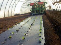 Agricoltura: telo Mater-Bi ammendante inorganico secondo Regolamento Ue
