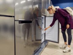 Bonus elettrodomestici 2025: come richiederlo dal 18 novembre e quanto si risparmia