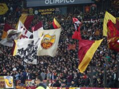 Calcio, come si diventa tifosi: così cambia il cervello durante una partita